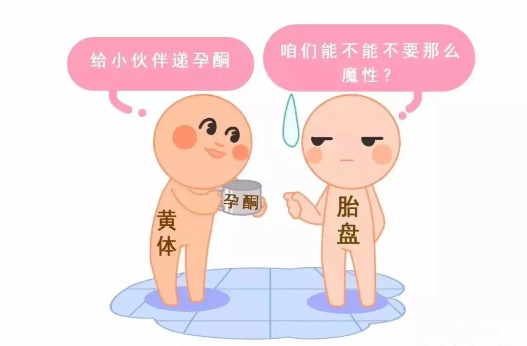 HCG和孕酮低一定會(huì)流產(chǎn)？備孕女性必須知道的孕早期“秘密”