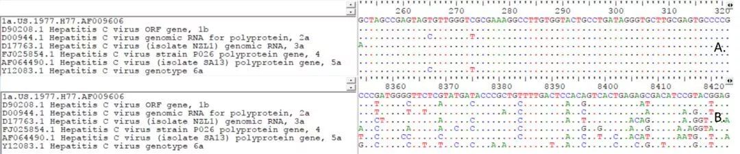 A.5’端非編碼區序列；B.NS5序列